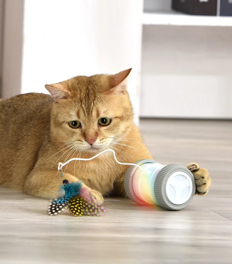 Supplier Smart Funny Pet Cat Toy Feather Video A Toy For A Cat Interactive Heartbeat Accessories Little Live Dog Giochi Per Gatt, Picture
Supplier Smart Funny Pet Cat Toy Feather Video A Toy For A Cat Interactive Heartbeat Accessories Little Live Dog Giochi Per Gatt, Picture