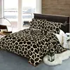 2019 NEW 100% polyester 5kg korea style raschel blanket made in china