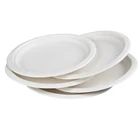 eco friendly round bagasse sugarcane pulp plates recyclable disposable 100% biodegradable tableware for party