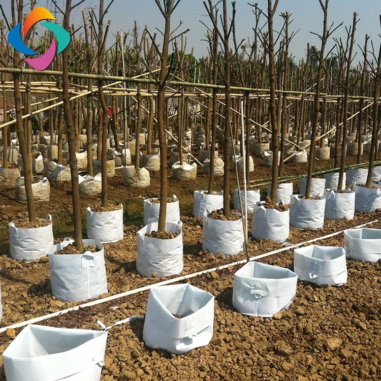 Ecological geotextile planting grow bags for covering crops, trees, flowers, tomatoes, gardens