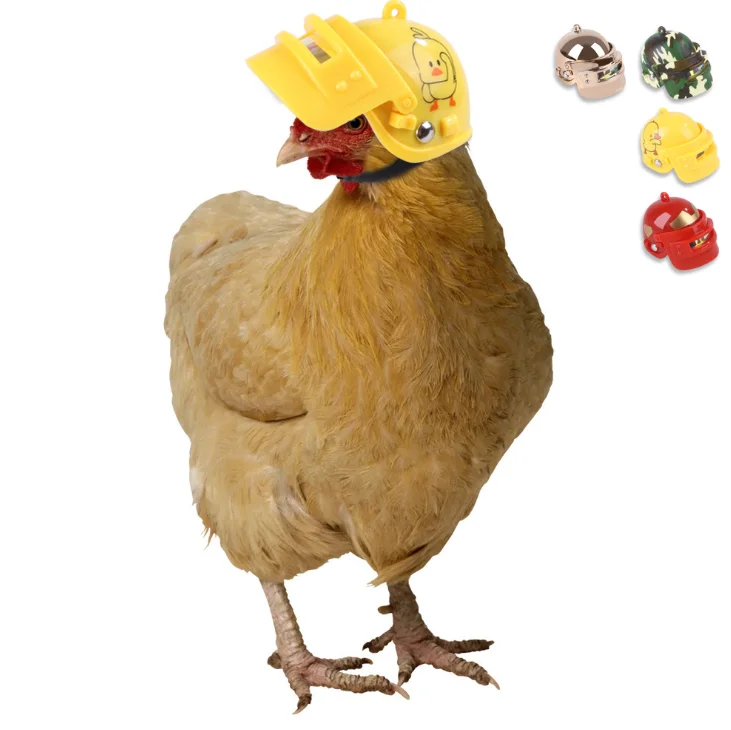 Manufacturer Spot Creative New Pet Products Protective Chicken Helmet Bird Hat Headgear, Picture shows
Manufacturer Spot Creative New Pet Products Protective Chicken Helmet Bird Hat Headgear, Picture shows