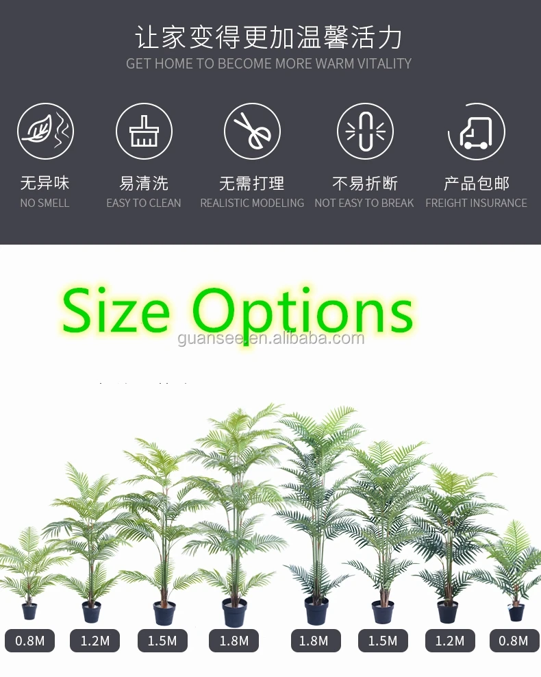 palm tree size.jpg