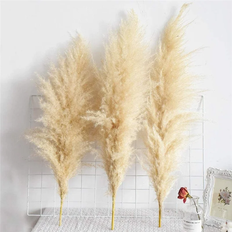 free shipping amazon top seller Wholesale Dry Flower Pampas Grass For Wedding Decorative, Natural
free shipping amazon top seller Wholesale Dry Flower Pampas Grass For Wedding Decorative, Natural
