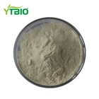 Halal, ISO Certification Mango Fruit Extract Mango Powder