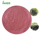 Superfruit Powder Natural Flavour Additive Concentrate Fruit Juice Organic Brazil Acai Berry Powder