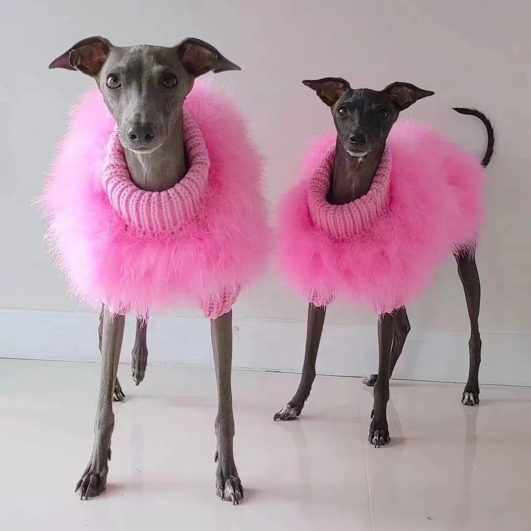 Wholesale Hot Designer Fashions spring Cute Dog Sweater Coats Display Dogs Cloth Luxury Pet Clothes For Dog Puppy
Wholesale Hot Designer Fashions spring Cute Dog Sweater Coats Display Dogs Cloth Luxury Pet Clothes For Dog Puppy