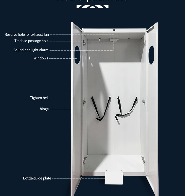 Hot Sale All Steel Gas Cylinder Cabinet for Laboratory Lab Furniture/