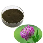 Factory supply Red Clover extract powder Isoflavone extract 40%