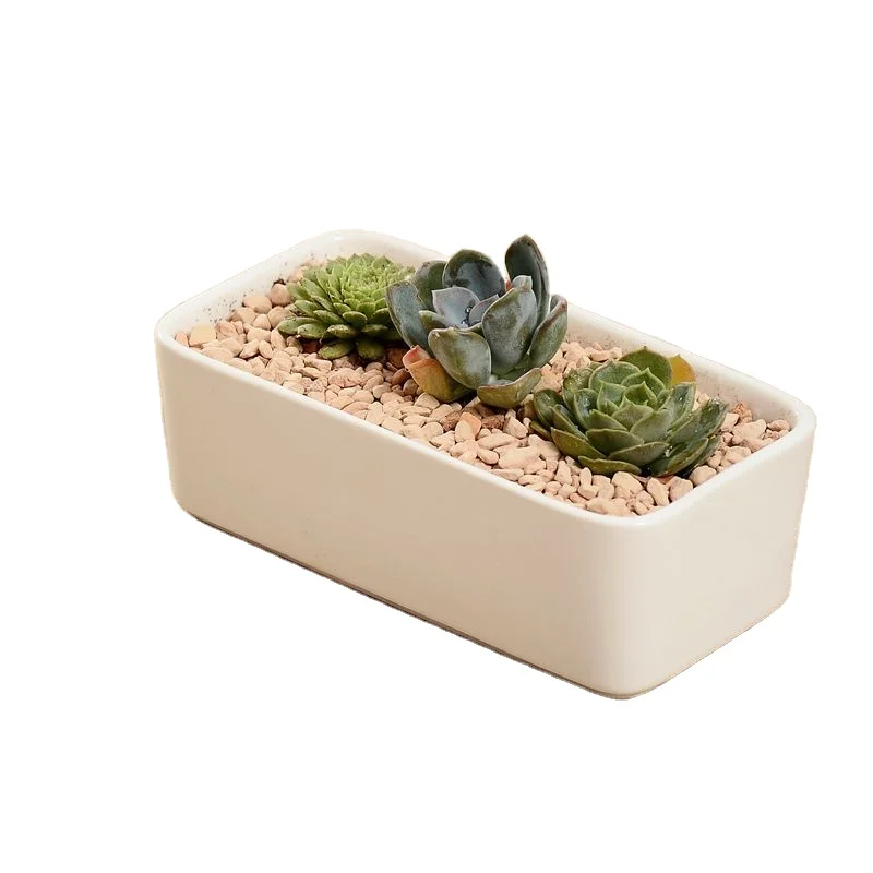 Custom Rectangular Shape Mini Ceramic Flower Cactus Pots