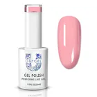 Nail Polish Nail Private Label Gel Polish OEM/ODM Private Label Free Sample Pink Series / Nude Series Nail Gel Polish