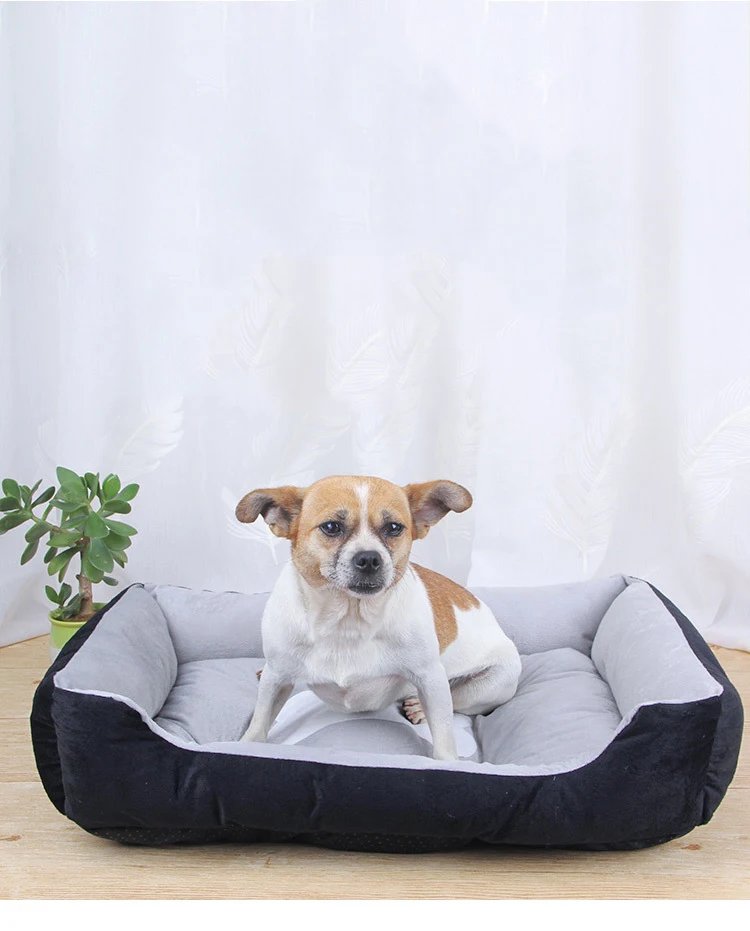 Manufacturer wholesale warm short plush dog bed non slip bottom, Black,brown,grey,blue,red
Manufacturer wholesale warm short plush dog bed non slip bottom, Black,brown,grey,blue,red