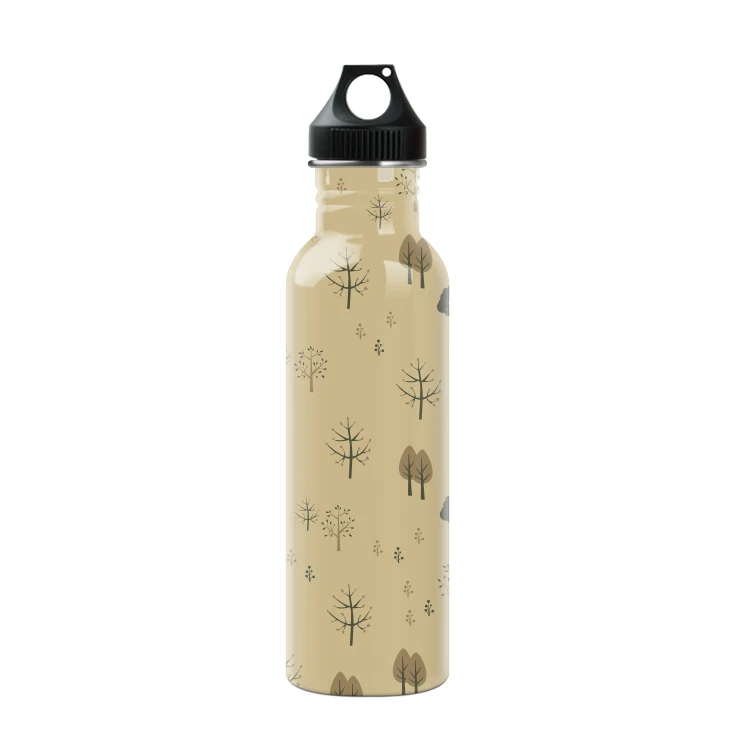 Hot selling outdoor playing single wall Stainless Steel Water Bottle with portable lids carabiner
Hot selling outdoor playing single wall Stainless Steel Water Bottle with portable lids carabiner