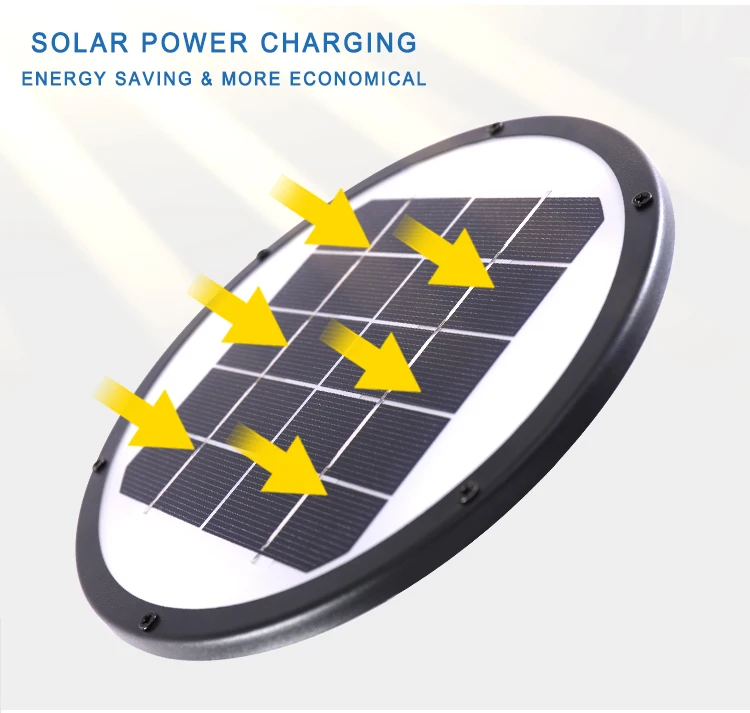 solar pathway light (6)