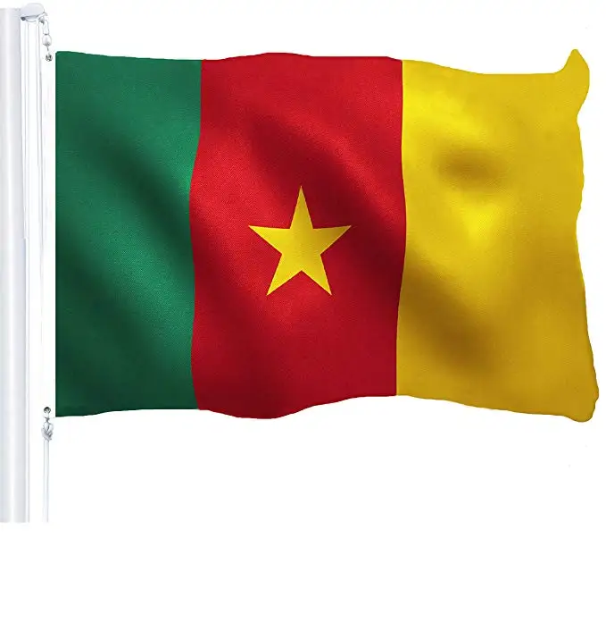 塞内加尔塞内加尔国旗 3x5 英尺印刷黄铜垫圈