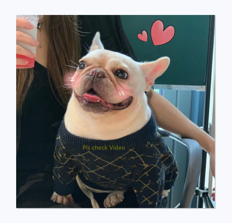 Autumn And Winter New Style Black Classic Design Cute C Luxury Brand Design Dog Sweater
Autumn And Winter New Style Black Classic Design Cute C Luxury Brand Design Dog Sweater