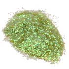 Polyester Cosmetic Powder Decoration Iridescent Glitter for Festival