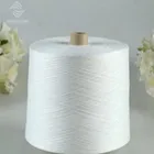 60% Modacrylic 40% Cotton 30S/1 Flame Retardant Blended Yarn