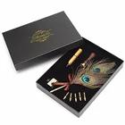 Dip Pen Set, Visible Antique Peacock Feather Dip Pen with 5 Tips and Ink Bottle Ink Dip Pen Set Faway Wax Seal Set