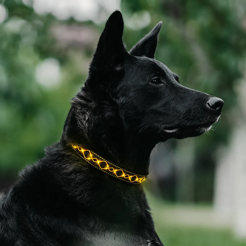 2021 Amazon Hot Sales Water Resistant USB Rechargeable Reflective Safety LED rope embroidery light up Dog Collar Pet Necklace, Blue red green yellow
2021 Amazon Hot Sales Water Resistant USB Rechargeable Reflective Safety LED rope embroidery light up Dog Collar Pet Necklace, Blue red green yellow