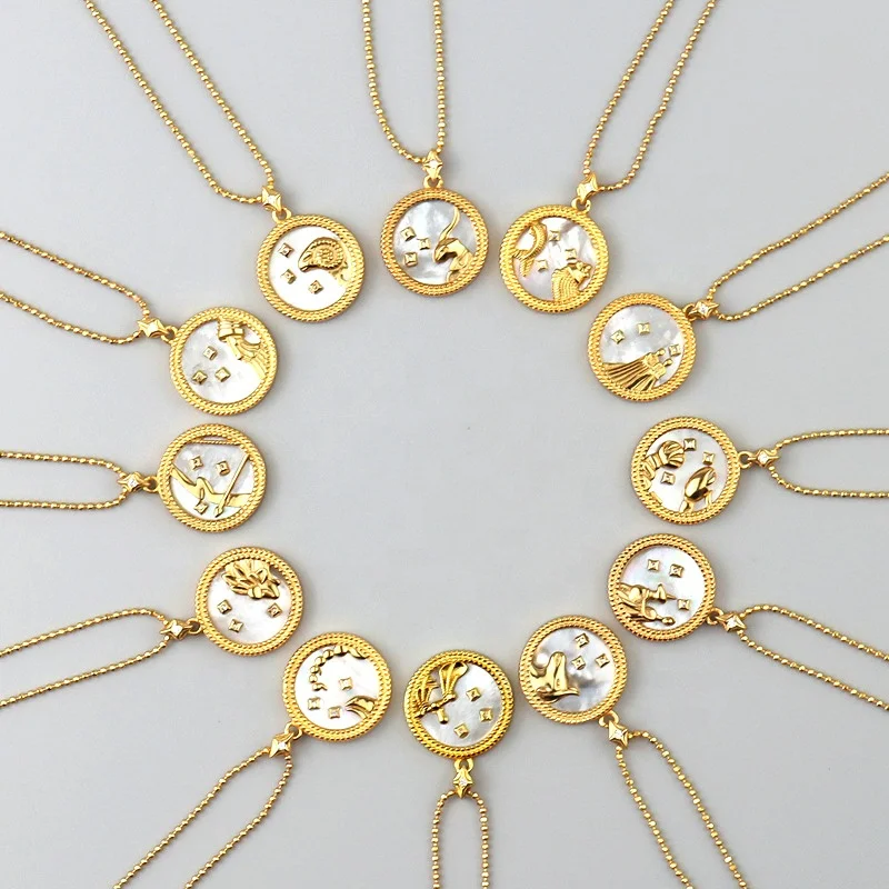 Hot Crystal Zodiac Shell Necklace 925 Sterling Silver Astrology Zodiac Sign Pendant Necklace for Women
Hot Crystal Zodiac Shell Necklace 925 Sterling Silver Astrology Zodiac Sign Pendant Necklace for Women