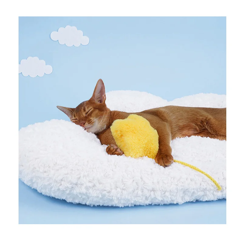 Amazon hot sale cute cloud cat mat bed soft comfortable sleep pet mat bed, As picture
Amazon hot sale cute cloud cat mat bed soft comfortable sleep pet mat bed, As picture
