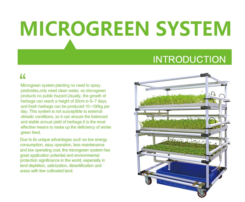 microgreen-system_01