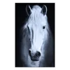 Famous animal art print single horse portrait painting good canvas wholesale