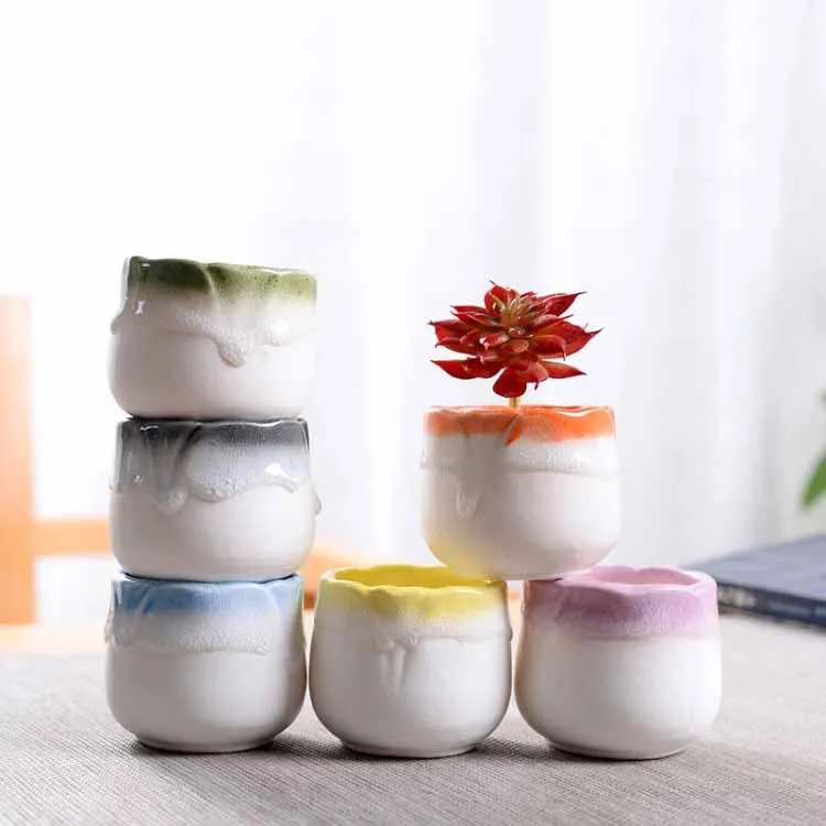 Colorful lace ceramic meaty plant pot small and pure and fresh color desktop home furnishing articles that potted meat
Colorful lace ceramic meaty plant pot small and pure and fresh color desktop home furnishing articles that potted meat