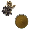 /product-detail/shaanxi-hongda-factory-supply-black-ginger-root-plant-extract-powder-62353490902.html