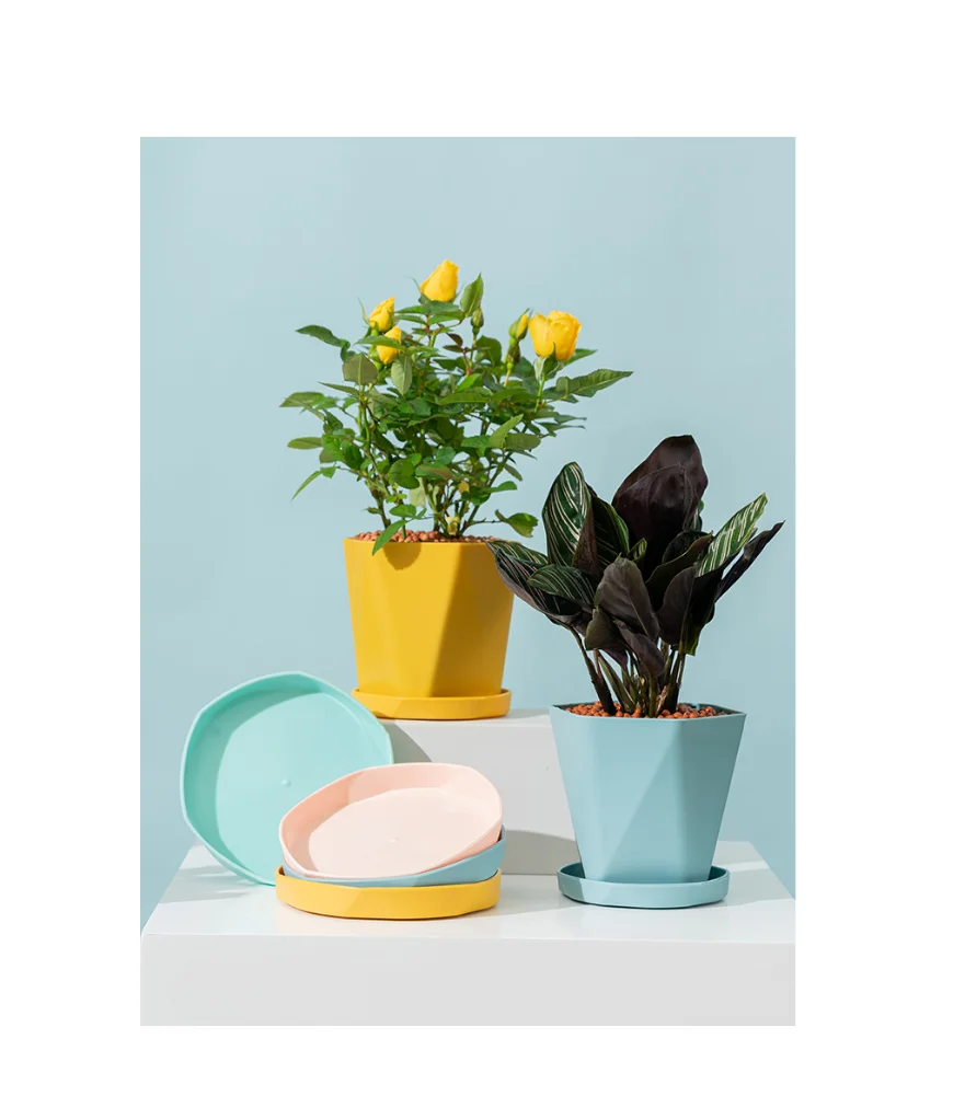 Fiducia 2021 Stylish and Durable Attractive Bright Macaron Color Resin Frosted Plastic Succulent FlowerPot Nursery Pot with Tray
Fiducia 2021 Stylish and Durable Attractive Bright Macaron Color Resin Frosted Plastic Succulent FlowerPot Nursery Pot with Tray