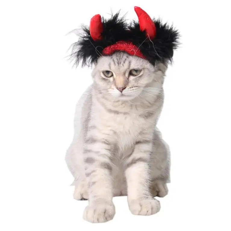 Halloween Horn Hat Pet Hair Accessories Best Selling Pet Winter Funny Party Hats, Picture shows
Halloween Horn Hat Pet Hair Accessories Best Selling Pet Winter Funny Party Hats, Picture shows