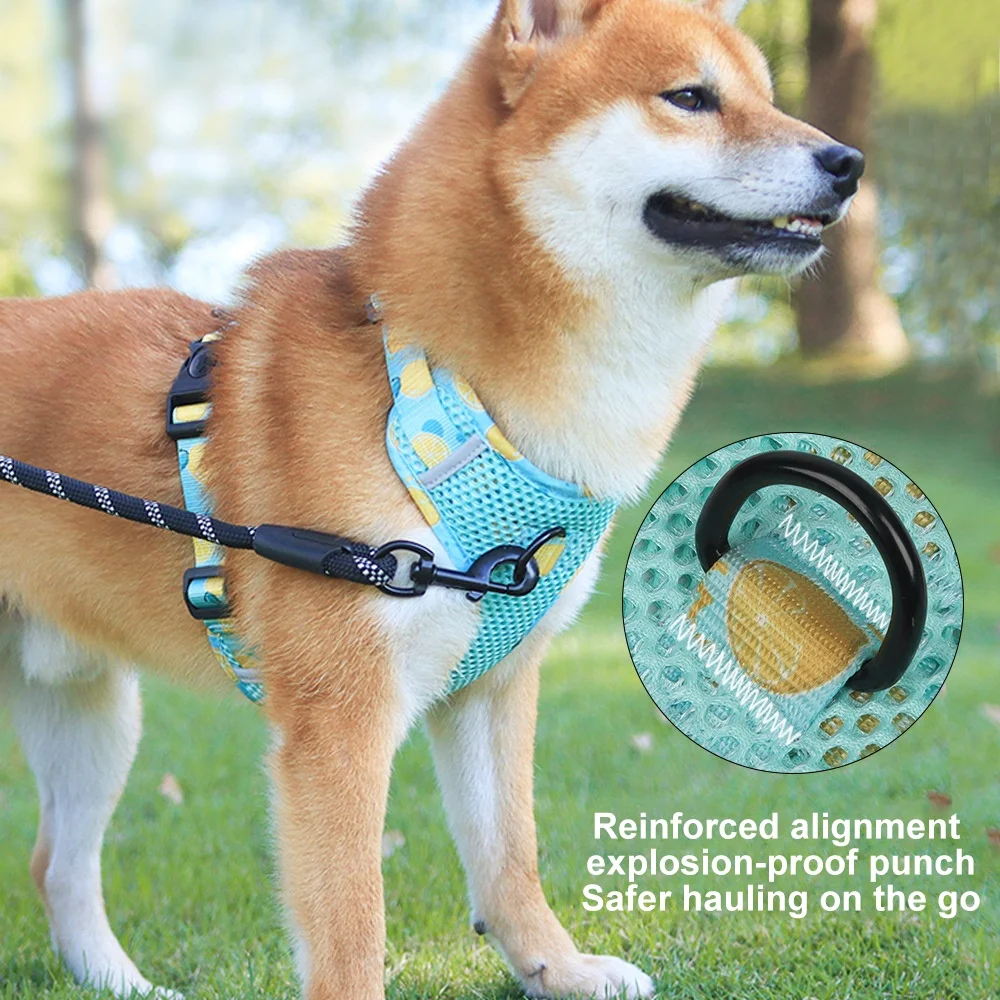 Fruit Series Strawberry Blueberry Pet Dog Harness Breathable Mesh Medium Harness Dog
Fruit Series Strawberry Blueberry Pet Dog Harness Breathable Mesh Medium Harness Dog