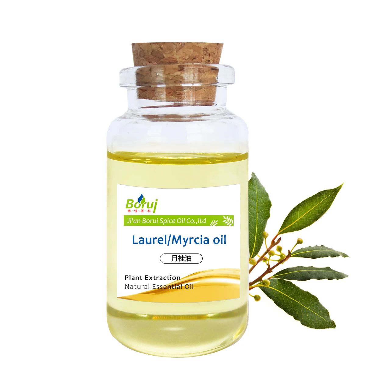 high quality pure bay leaf essential oil natural laurel oil lowest price for made cosmetic
high quality pure bay leaf essential oil natural laurel oil lowest price for made cosmetic