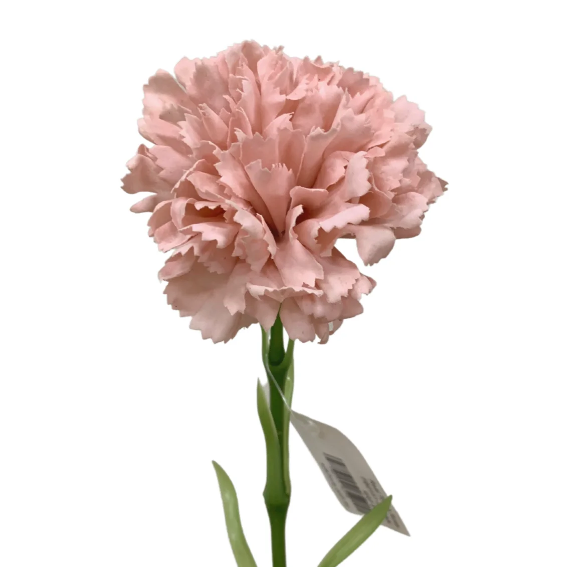 O-X742 Wholesale Mother's day gift white pink carnation flowers home wedding decoration silk carnation flowers artificial
O-X742 Wholesale Mother's day gift white pink carnation flowers home wedding decoration silk carnation flowers artificial