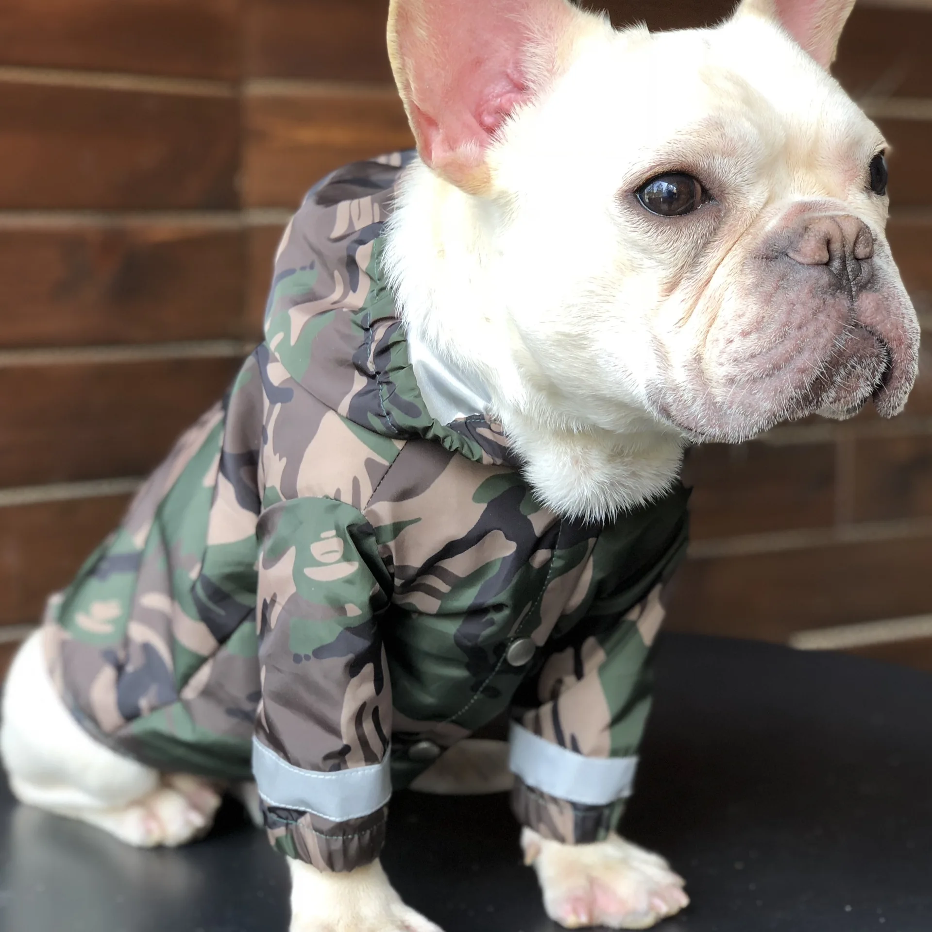 Large dog clothes Pet Raincoat Teddy Schnauzer Waterproof Camouflage Reflective Dog Raincoat with legs
Large dog clothes Pet Raincoat Teddy Schnauzer Waterproof Camouflage Reflective Dog Raincoat with legs