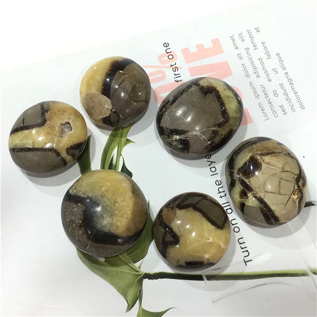 Wholesale natural bulk quartz septarian stone crystals septarium palm stone for home decoration
Wholesale natural bulk quartz septarian stone crystals septarium palm stone for home decoration