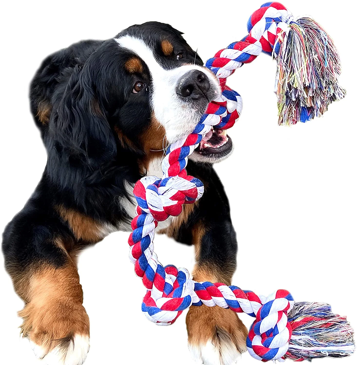 Pet Products Pet Toy Cotton Rope Dog Toys Dog Toothbrush Chew Interactive Dog Toy, Customized color
Pet Products Pet Toy Cotton Rope Dog Toys Dog Toothbrush Chew Interactive Dog Toy, Customized color