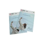 Cheap Custom Full Color Saddle Stitching A4 A5 Flyer Brochure Printing Service