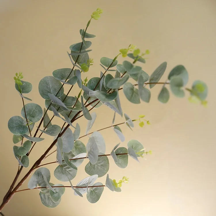 SN-L1020 silk flower plant for wedding decoration real touch eucalyptus leaf artificial eucalyptus flower bouquet
SN-L1020 silk flower plant for wedding decoration real touch eucalyptus leaf artificial eucalyptus flower bouquet