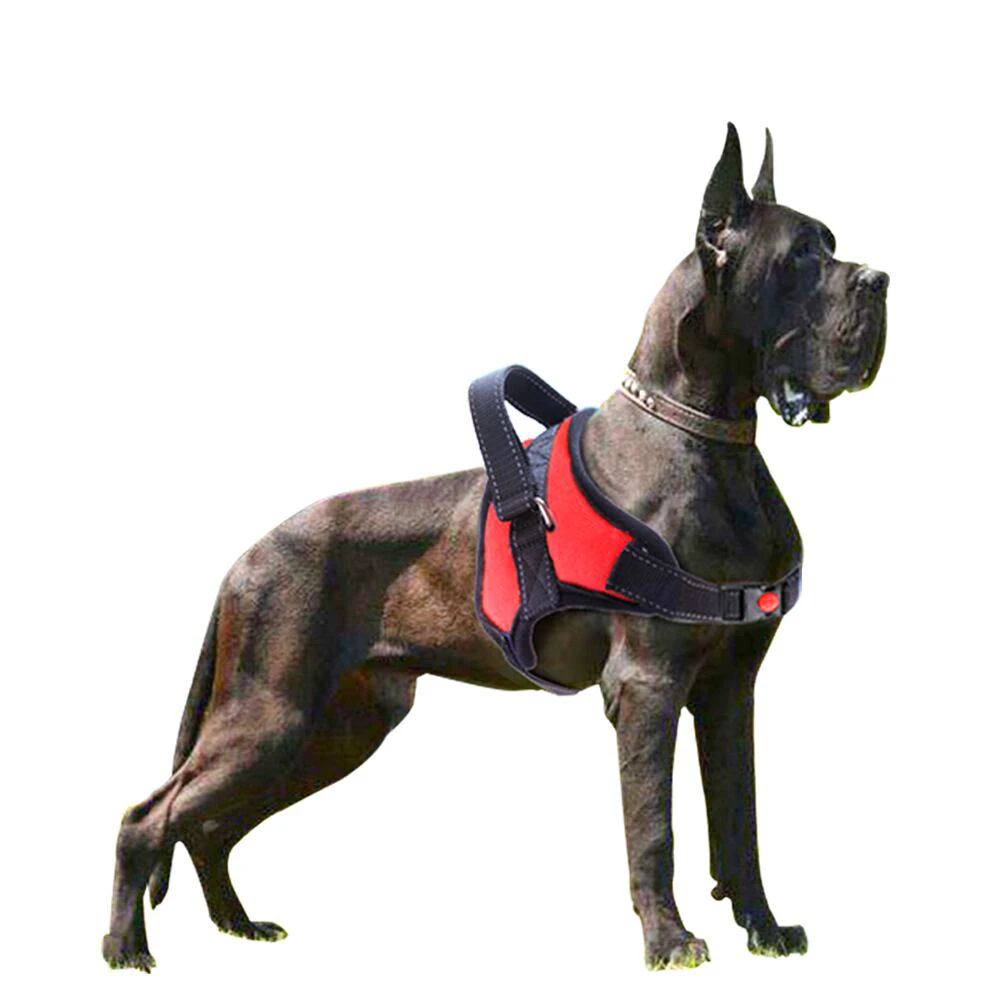 No-Pull Adjustable Pet Harness Reflective No-Choke Pet Oxford Vest with Easy Control Handle for Large Dogs
No-Pull Adjustable Pet Harness Reflective No-Choke Pet Oxford Vest with Easy Control Handle for Large Dogs