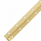 Manufacturer custom high quality golden plated brass concealed piano door hinge