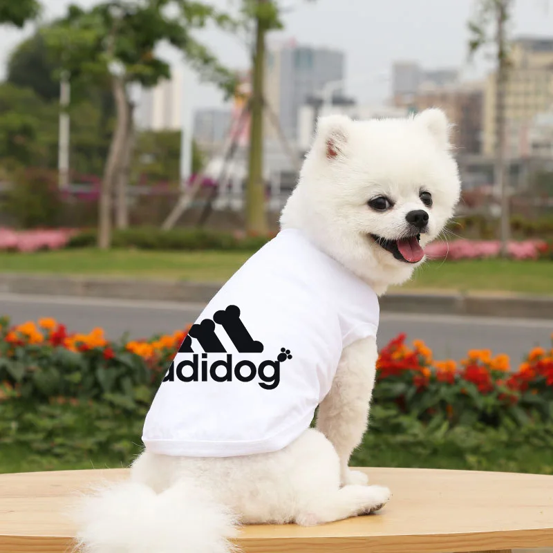 Spring and summer solid color comfortable dog clothes dog vest pet T-shirt cat vest dogs cloth designer clothes pet clothes
Spring and summer solid color comfortable dog clothes dog vest pet T-shirt cat vest dogs cloth designer clothes pet clothes