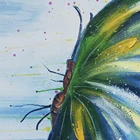 80*80cm Modern butterfly Wall Decoration Art 100% Handmade Oil painting Abstract Canvas Painting