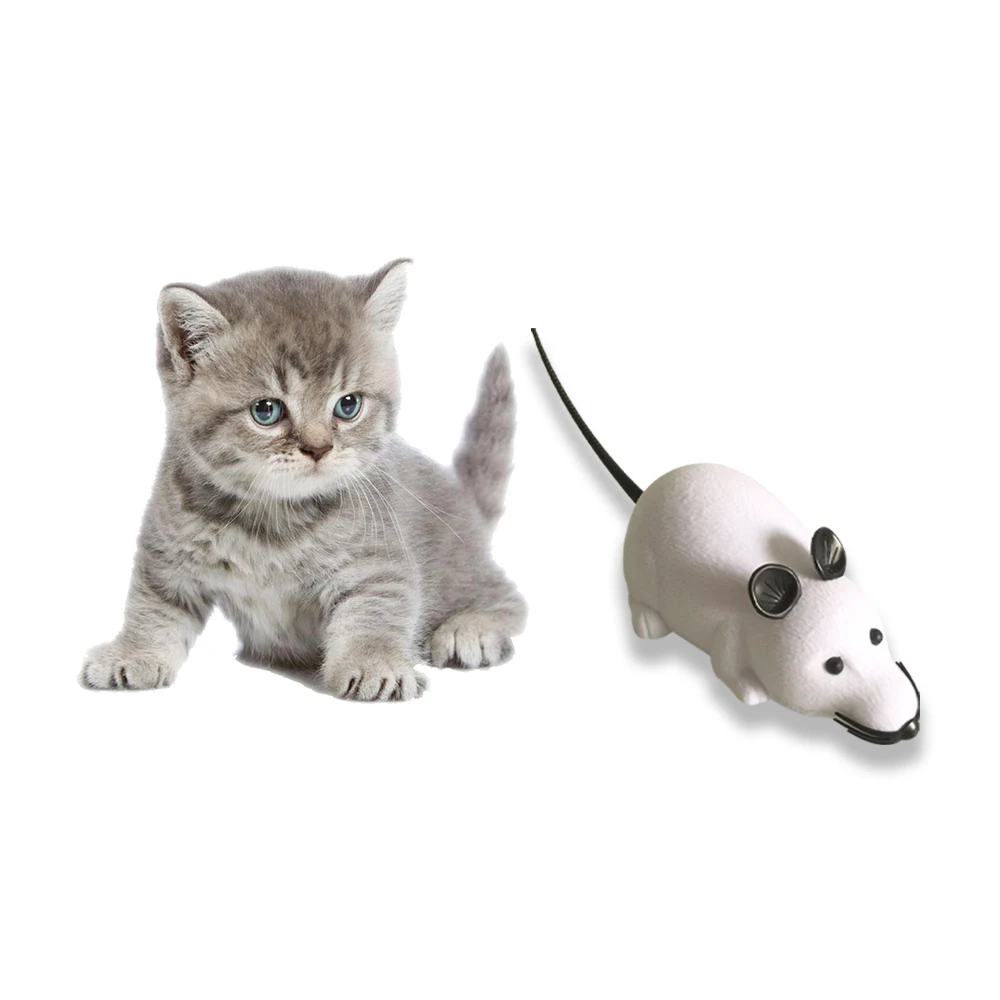 Electric Fewther Hunt Interactive Soft Small Mouse Cat Pet Toy For Load Battery, Black, gray, brown, white
Electric Fewther Hunt Interactive Soft Small Mouse Cat Pet Toy For Load Battery, Black, gray, brown, white