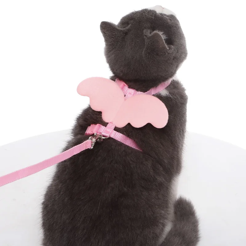 hot selling fashion cute leash pet angel wings flash pet leash samll cats pet collars leashes
hot selling fashion cute leash pet angel wings flash pet leash samll cats pet collars leashes