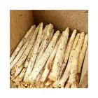 Bulk Vegetable Vegetables Bulk Bulk Style Packaging Frozen Vegetable White Asparagus Types Of Vegetables