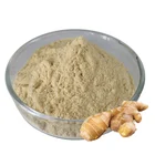 Hot products 100% organic ginger root extract powder