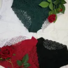wholesale elastic undergarment popular colorful lace briefs custom underwear women's panties