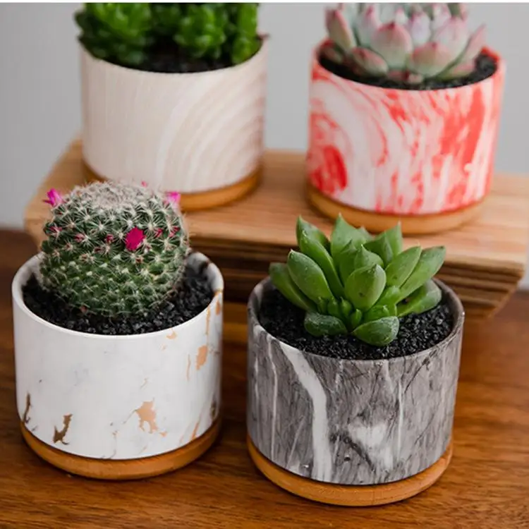 One dollar Wholesale indoor different colour nordic porcelain pot ceramic large size flower pots for plants
One dollar Wholesale indoor different colour nordic porcelain pot ceramic large size flower pots for plants