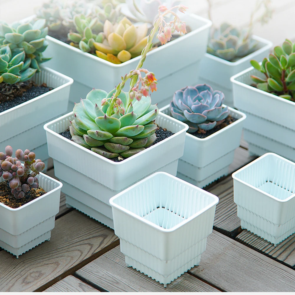 Hot Selling wholesale square white plastic mini succulent plant pot customized, White/black
Hot Selling wholesale square white plastic mini succulent plant pot customized, White/black